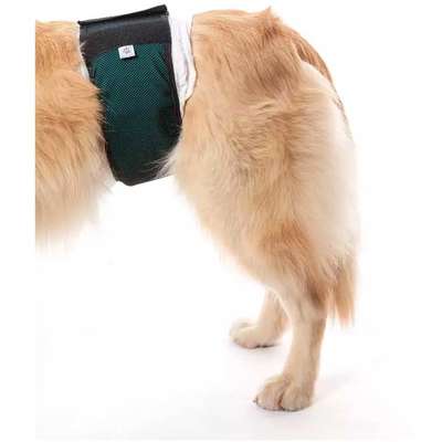 Protetor Higiênico Pet Med para Fraldas Verde para Cães Machos