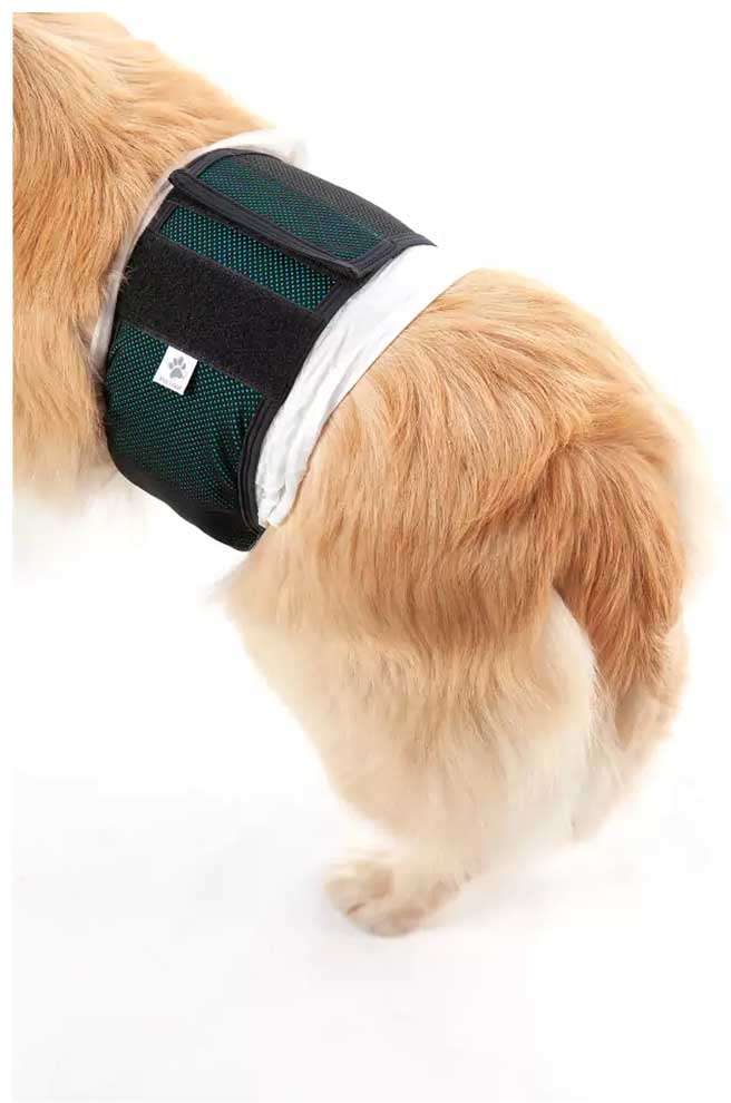 Protetor Higiênico Pet Med para Fraldas Verde para Cães Machos - Tam. 04