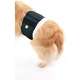 Protetor Higiênico Pet Med para Fraldas Verde para Cães Machos
