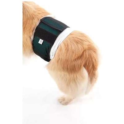 Protetor Higiênico Pet Med para Fraldas Verde para Cães Machos