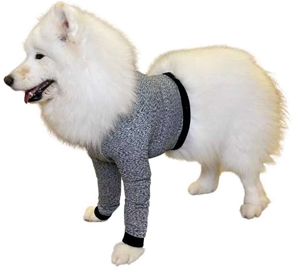 Protetor de Membros Anteriores Pet Med Dry Light Supreme Cinza para Cães - Tam. 08