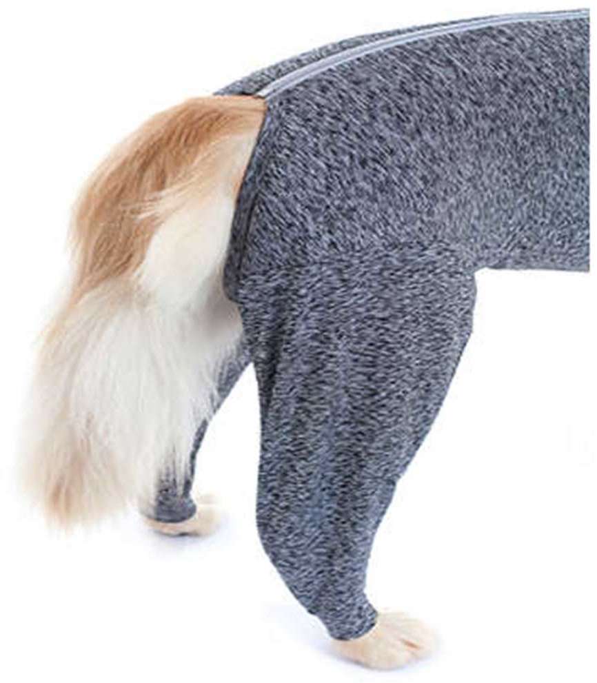 Protetor de Membros Posteriores Pet Med Dry Light Supreme Cinza para Cães - Tam. 06