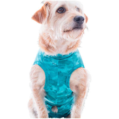 Roupa Pós Cirúrgica Pet Med Regular Dry Light Supreme Verde para Cães