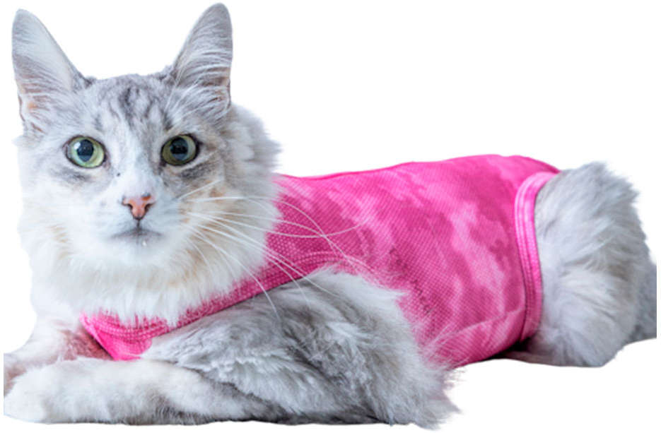 Roupa Pós Cirúrgica Pet Med Regular Dry Light Supreme Rosa para Gatos - Tam. 3