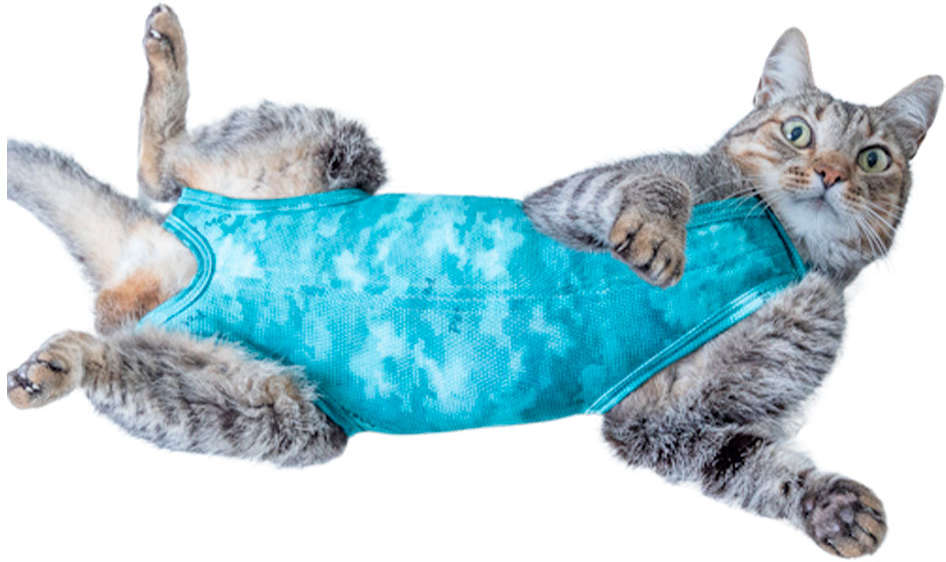 Roupa Pós Cirúrgica Pet Med Regular Dry Light Supreme Verde para Gatos - Tam. 1
