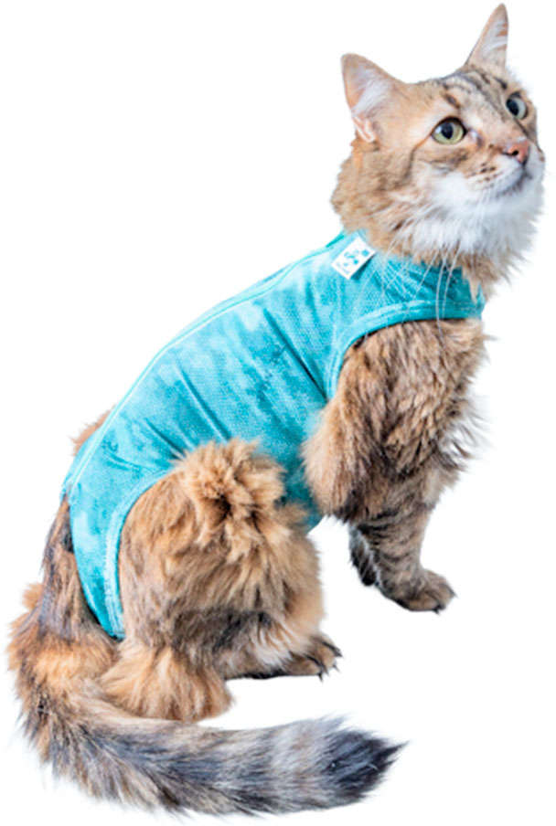 Roupa Pós Cirúrgica Pet Med Regular Dry Light Supreme Verde para Gatos - Tam. 1