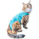 Roupa Pós Cirúrgica Pet Med Regular Dry Light Supreme Verde para Gatos
