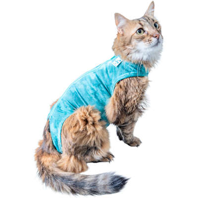 Roupa Pós Cirúrgica Pet Med Regular Dry Light Supreme Verde para Gatos