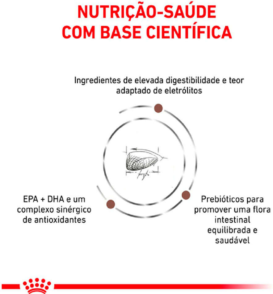Ração Royal Canin Feline Veterinary Diet Gastro Intestinal - 1,5Kg