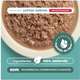 Ração Úmida Pet Delícia Sachê Natural Ragu de Carne com Legumes para Cães