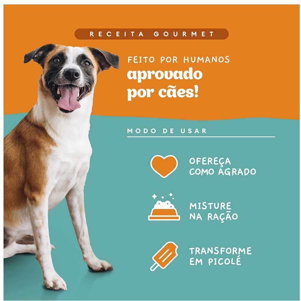 Ração Úmida Pet Delícia Sachê Natural Ragu de Frango com Legumes para Cães - 80 g
