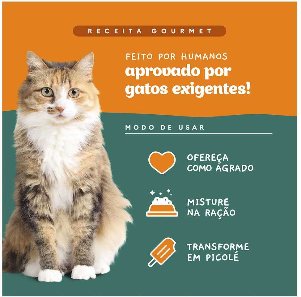 Ração Úmida Pet Delícia Sachê Natural Ragu de Frango com Chia para Gatos - 80 g