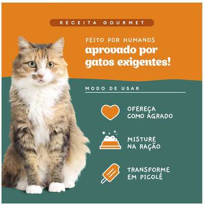 Ração Úmida Pet Delícia Sachê Natural Ragu de Frango com Chia para Gatos