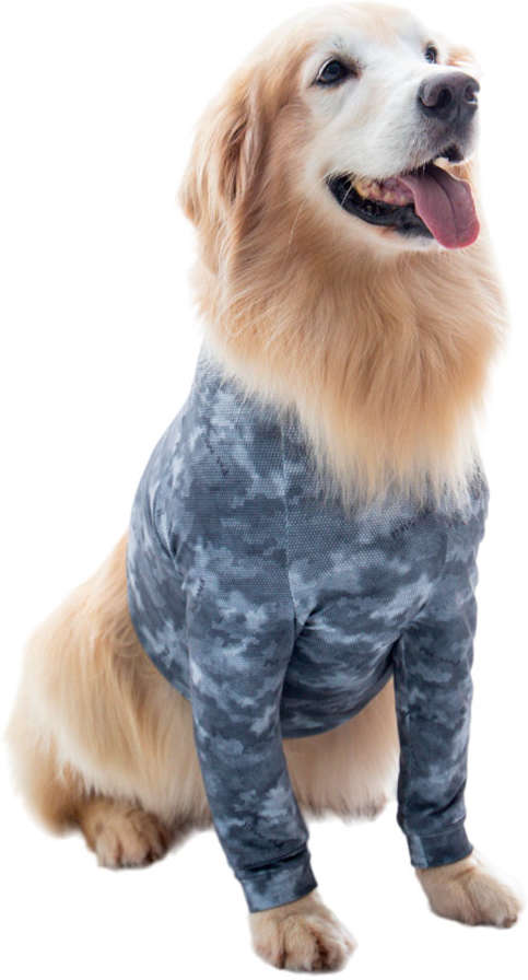 Protetor de Membros Anteriores Pet Med Dry Light Supreme Cinza para Cães - Tam. 08