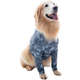 Protetor de Membros Anteriores Pet Med Dry Light Supreme Cinza para Cães