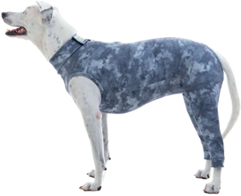 Protetor de Membros Posteriores Pet Med Dry Light Supreme Cinza para Cães - Tam. 06