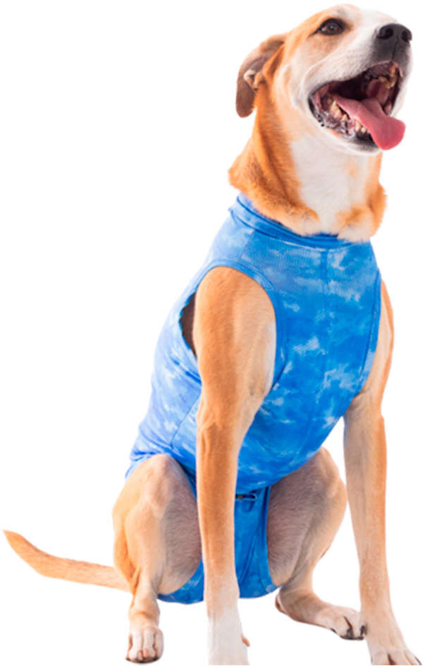 Roupa Pós Cirúrgica Pet Med Castração Dry Light Supreme Azul para Cães - Tam. 7