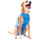 Roupa Pós Cirúrgica Pet Med Castração Dry Light Supreme Azul para Cães