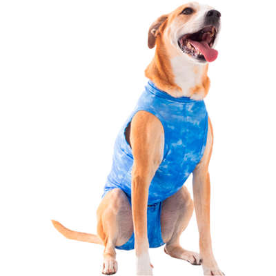 Roupa Pós Cirúrgica Pet Med Castração Dry Light Supreme Azul para Cães