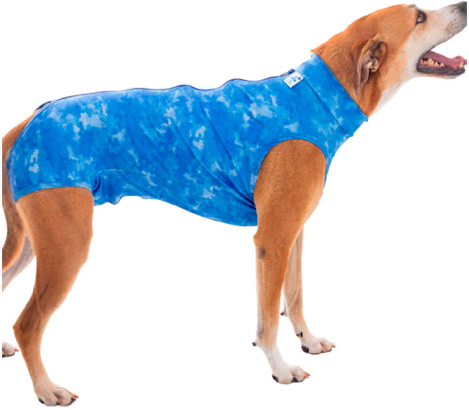Roupa Pós Cirúrgica Pet Med Castração Dry Light Supreme Azul para Cães - Tam. 7