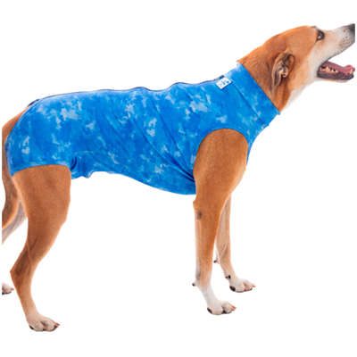 Roupa Pós Cirúrgica Pet Med Castração Dry Light Supreme Azul para Cães