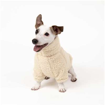Moletom Meau Cacharrel Alpaca
