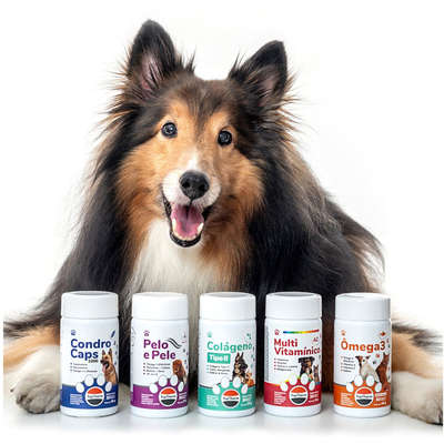 Suplemento Vitamínico Toptherm Ômega 3 para Cães e Gatos