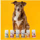 Suplemento Vitamínico Toptherm Ômega 3 para Cães e Gatos