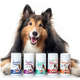 Suplemento Vitamínico Toptherm Condro Caps 1000 para Cães e Gatos