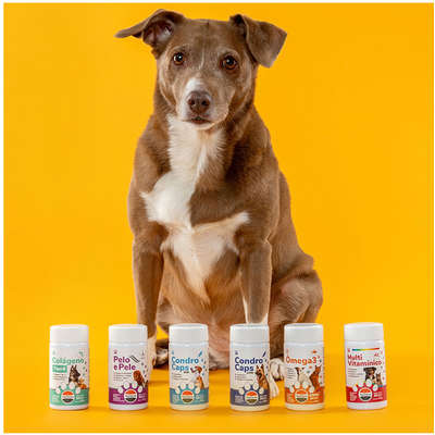 Suplemento Vitamínico Toptherm Condro Caps 1000 para Cães e Gatos