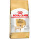 Ração Royal Canin para Cães Adultos da Raça Labrador Retriever