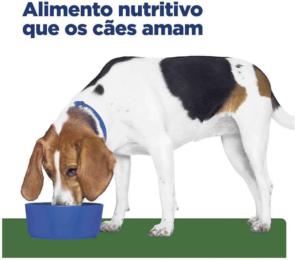 Ração Hills Canine Prescription Diet R/D Perda de Peso - 8Kg