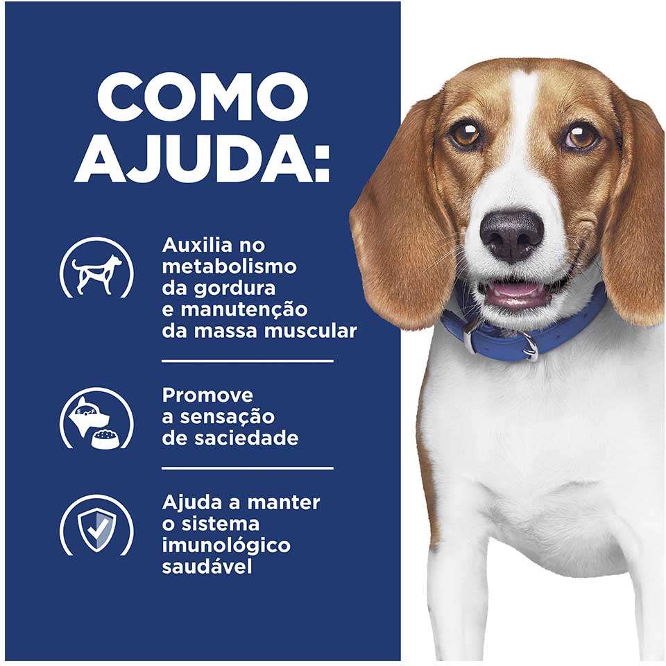 Ração Hills Canine Prescription Diet R/D Perda de Peso - 8Kg