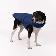 Jaqueta Meau Puffer Azul - Tam. 07