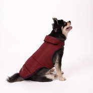 Jaqueta Meau Puffer Vinho - Tam. 04
