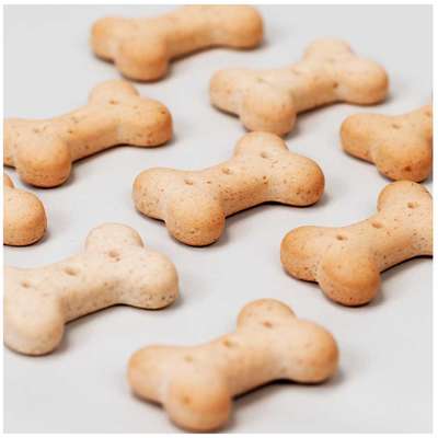 Biscoito Suprema para Cães Adultos Porte Médio e Grande