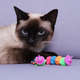 Brinquedo Kroco Centopeia Roxo para Gatos