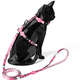 Peitoral com Guia Freefaro Hello Kitty para Cães