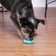 Brinquedo Kroco Mordedor Estrela Azul Claro para Cães
