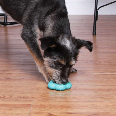 Brinquedo Kroco Mordedor Estrela Azul Claro para Cães