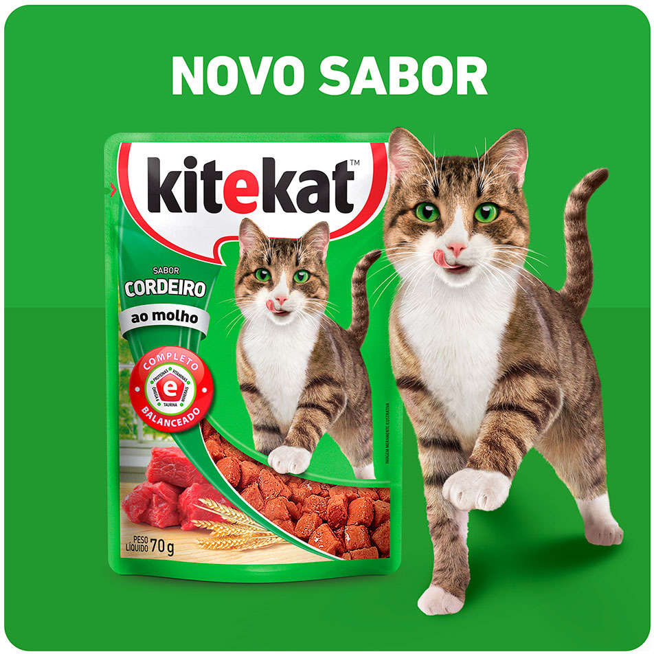 Ração Úmida Kitekat Sachê Cordeiro ao Molho para Gatos Adultos - 70 g