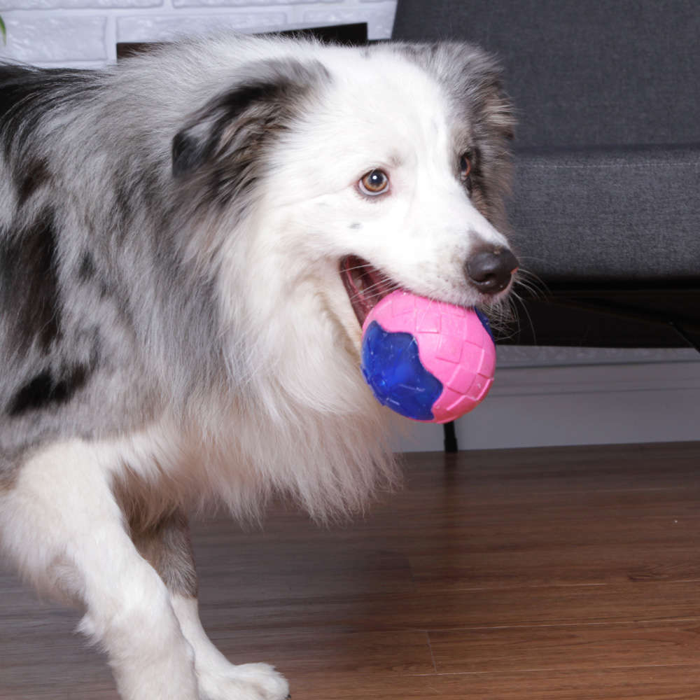 Brinquedo Kroco Bola Piscante Azul para Cães - Tam. Único