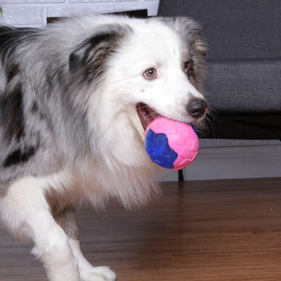 Brinquedo Kroco Bola Piscante Azul para Cães