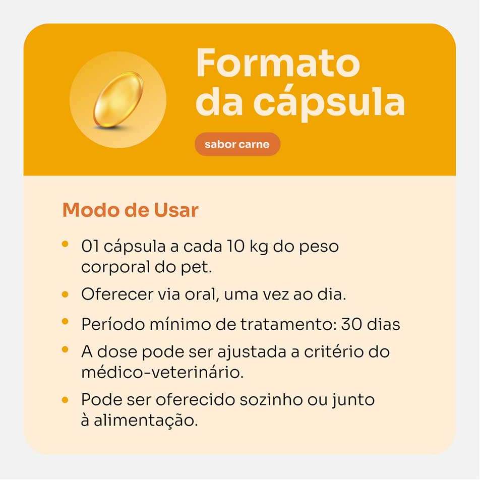 Suplemento Vitz Pet Ômega 3 1000 Sabor Carne 1620 mg para Cães e Gatos - 30 Cápsulas