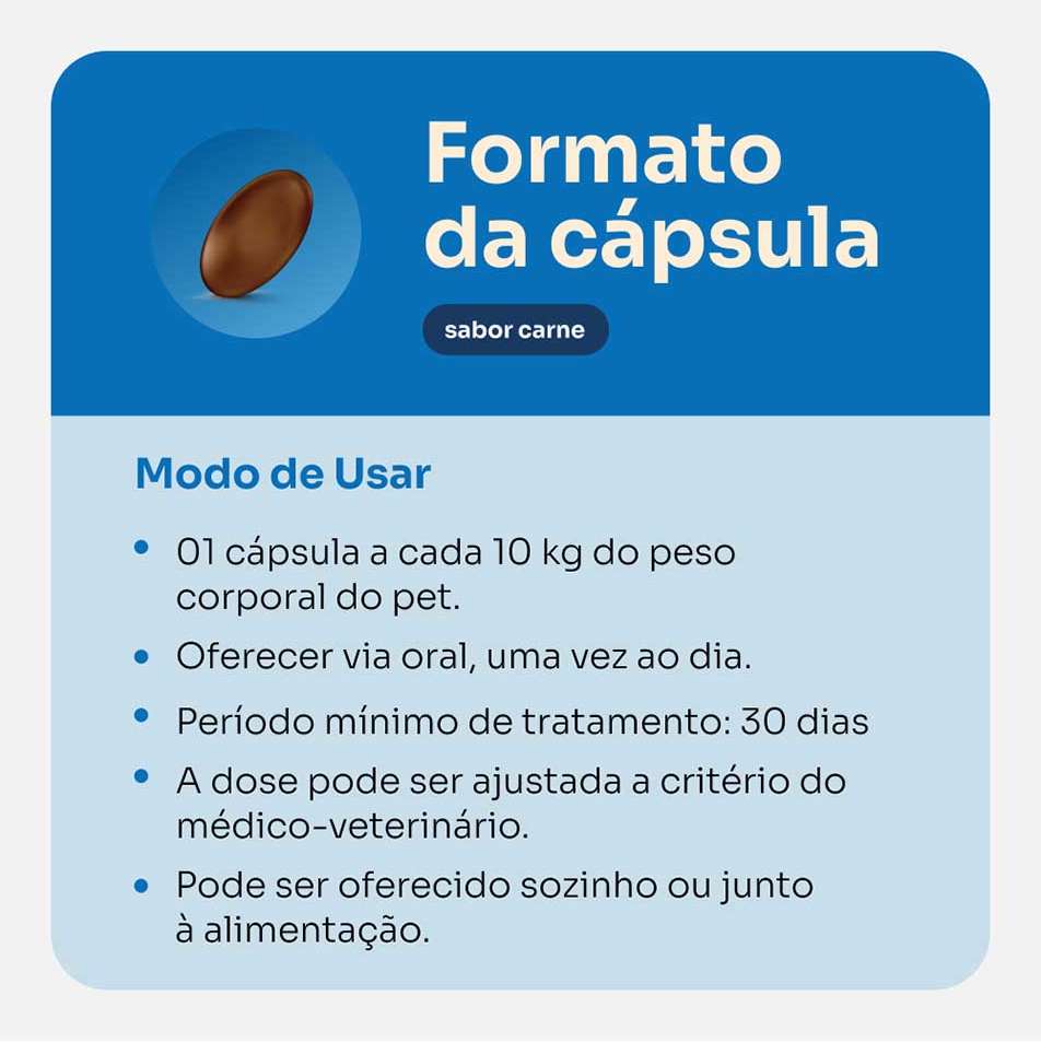 Suplemento Vitz Pet Condroitina 500 Sabor Carne 1010 mg para Cães e Gatos - 30 Cápsulas