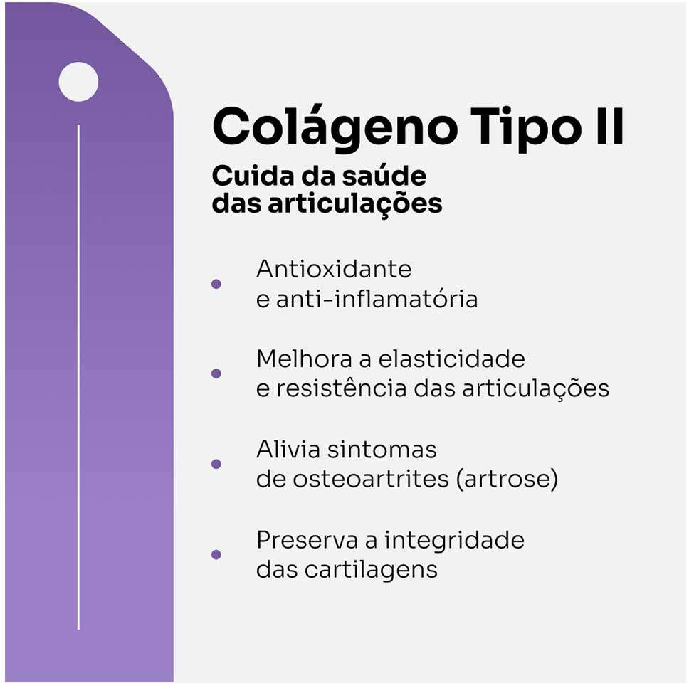 Suplemento Vitz Pet Colágeno II Sabor Carne 830 mg para Cães e Gatos - 30 Cápsulas