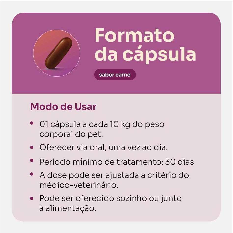 Suplemento Vitz Pet Vitaminas de A a Z Sabor Carne 1500 mg para Cães e Gatos - 30 Cápsulas