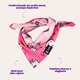 Bandana Freefaro Hello Kitty para Cães