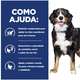 Ração Seca Hill's Prescription Diet Metabolic + Mobility para Cães