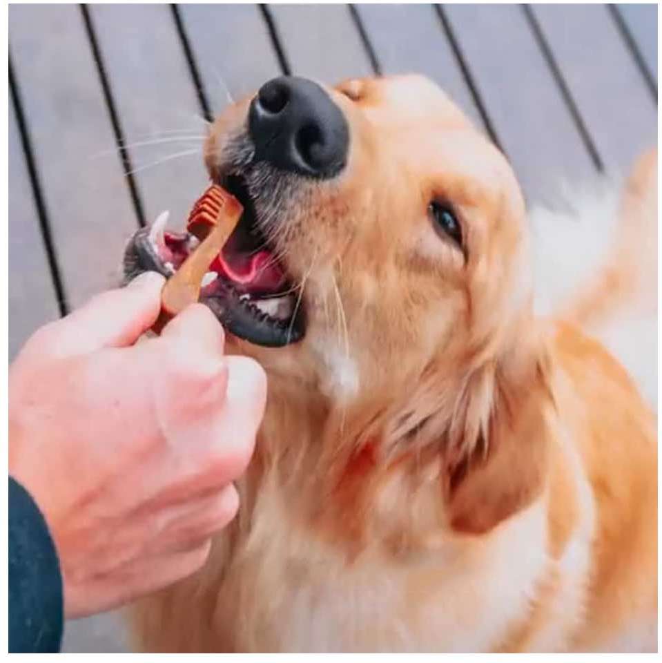 Petisco Dentalight Vital Fiber Brush Medium para Cães - 70 g